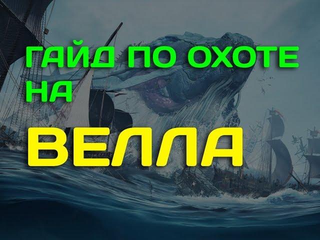 Гайд по фарму Велла в Black Desert online (BDO)