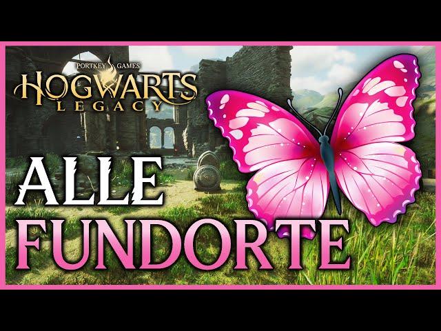 Alle Fundorte der Schmetterlinge  Folge den Schmetterlingen  Hogwarts Legacy Deutsch