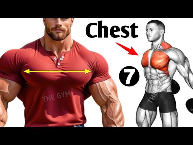 7 Best Chest Workout At Gym