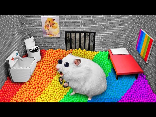 Colorful POP IT Prison | DIY Hamster Maze