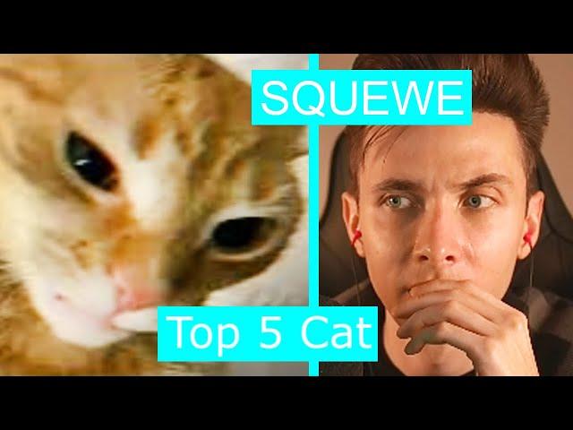 РЕКОМЕНДАЦИИ ХЕСУСА: TOP 5 CATS | SQUEWE | REACTION/РЕАКЦИЯ