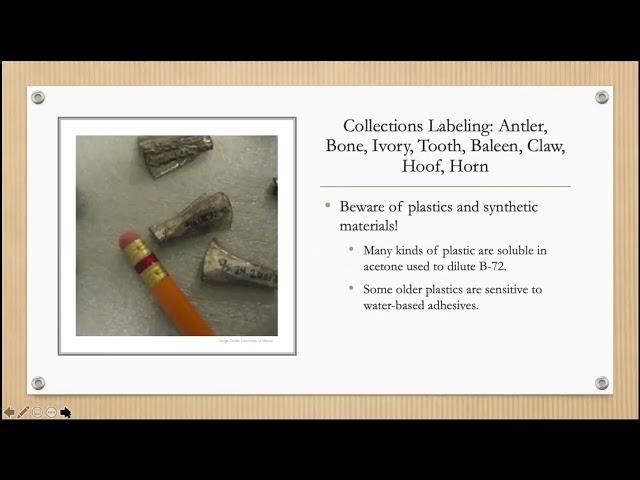 Cataloging and Labeling Practices in Collections Care - UCLA Getty Conservation Program