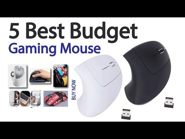 5 Best Budget Gaming Mouse End of 2024 | Price | Review | Unboxing | DPI Check