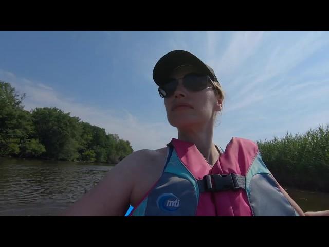 Kayaking Darby Creek in John Heinz Wildlife Refuge