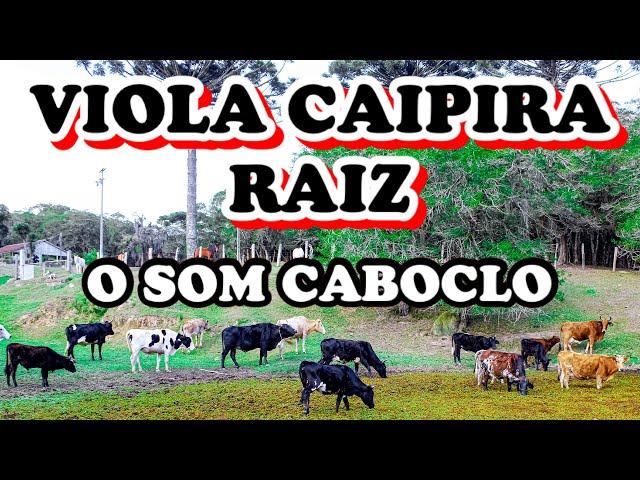 VIOLA CAIPIRA E O SOM DA ROÇA EM VERSOS NATUREZA E POESIA PARA O HOMEM DO CAMPO