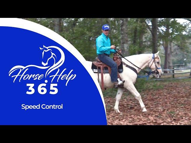 Speed Control | Horse Help - Michael Gascon