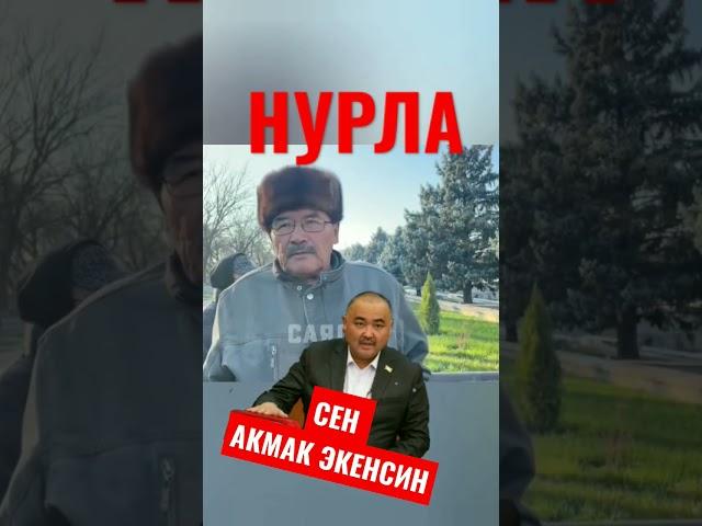 Сен Акмак экенсин