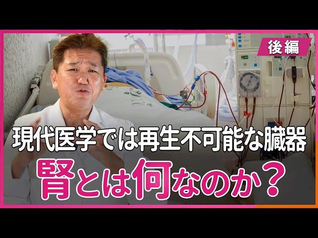 腎とは何なのか？現代医学では再生不可能な臓器〜後編〜