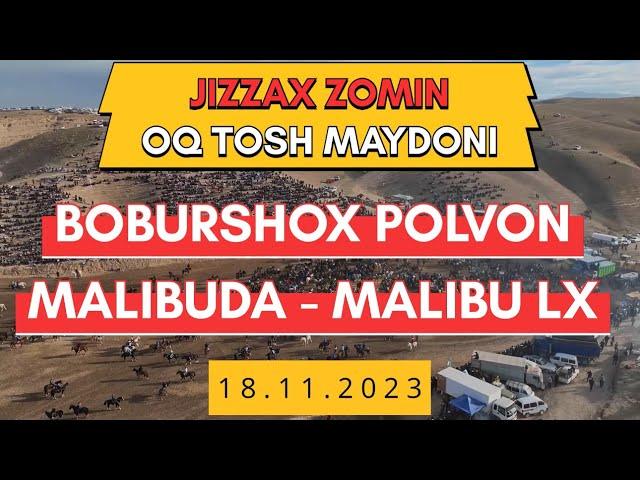 BOBURSHOX - MALIBUDA MALIBU LX