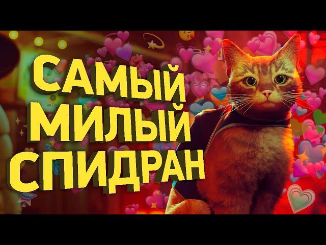 Как пройти Stray быстрее всех | Разбор спидрана