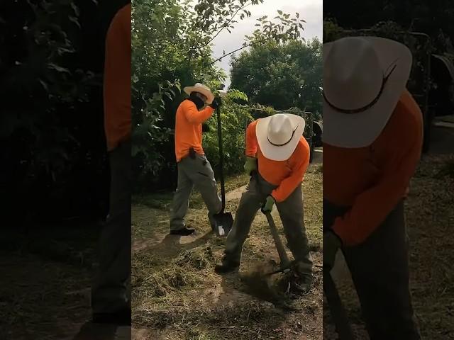 They treated his yard like a complete dump