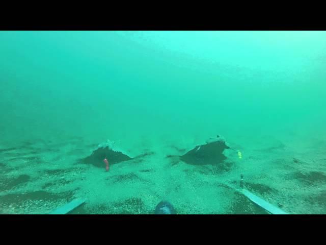 Catching plaice off the Skerries