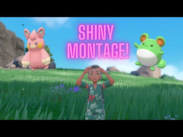 Kensaku | Shiny Montage