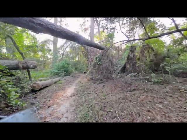 Insta360 X4-Late Evening Return to Timberlane MTB Trails