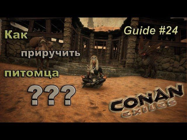 Conan exiles Гайд #24 Как приручить питомцев???