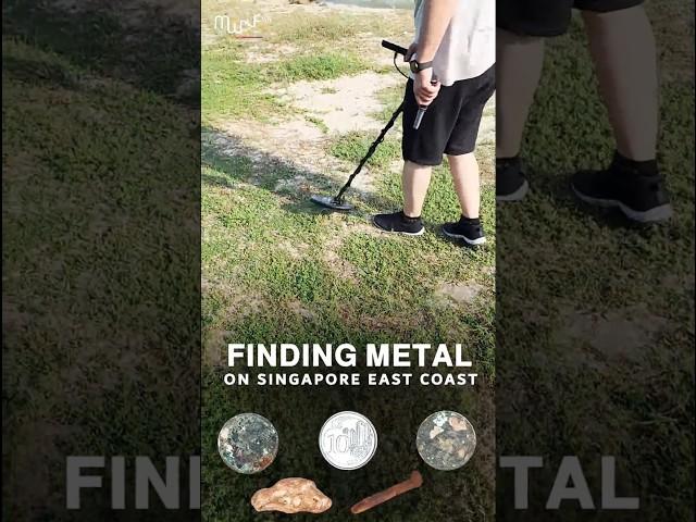 Discovering metal and coins through GF-650 metal detector