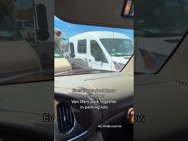 Van Life Parking: A Unique Community Connection#vanlife #vanlifers #vanlifecommunity