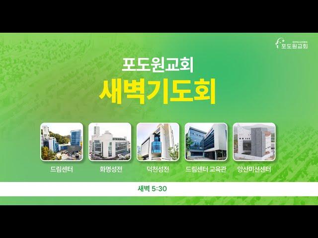 2025.06.16 포도원교회 새벽기도회(설교영상)