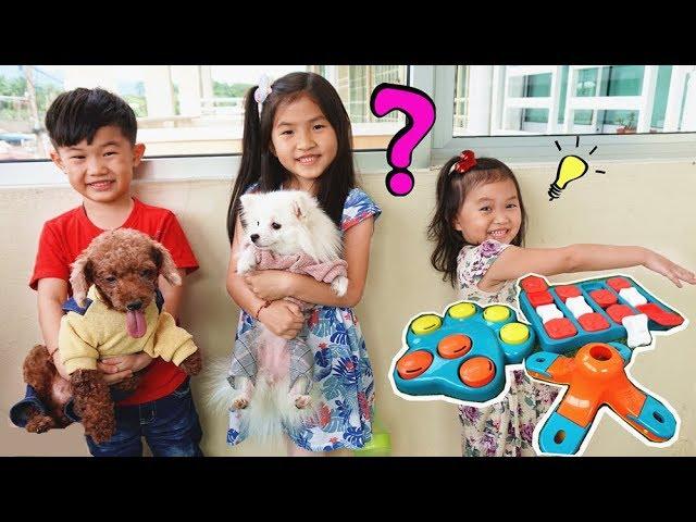 狗狗吃零食挑戰！好可愛喔~寵物狗狗 玩遊戲 ~Cute Puppy) Fun For kids by Jo Channel！