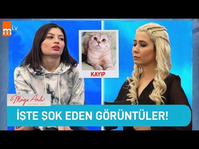 HAYATI TELEVİZYON PROGRAMI GİBİ YAŞAMAK!!!