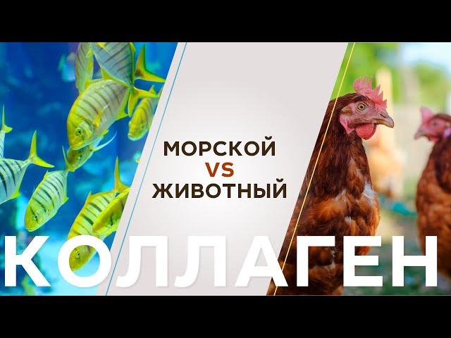 Какой коллаген лучше: морской или животный? | Объясняет врач-косметолог.