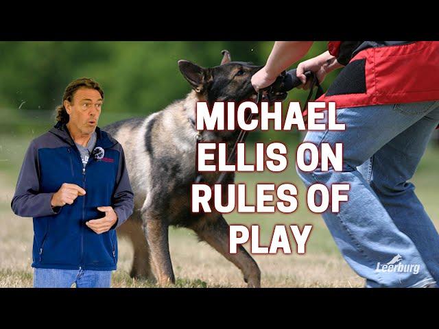 Michael Ellis on Rules of Play