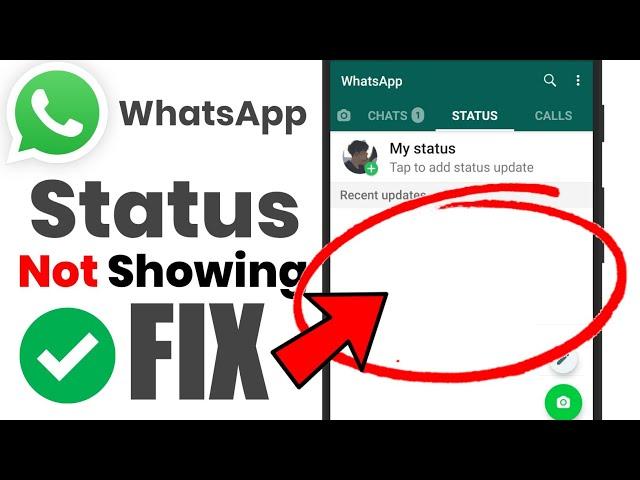 HOW TO FIX WhatsApp Status Not Showing Problem Solved | WhatsApp Status Not Showing for All Contacts