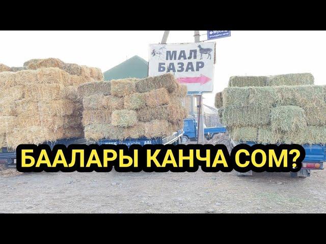 БЕДЕ, САМАН, ПАЯ,Чөп ПРЕСС || Баалары КАНЧА?