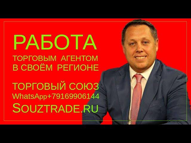 Как стать торговым Агентом. Управление торговлей. торговля на маркетплейсах. Эксперт   Паладьев.