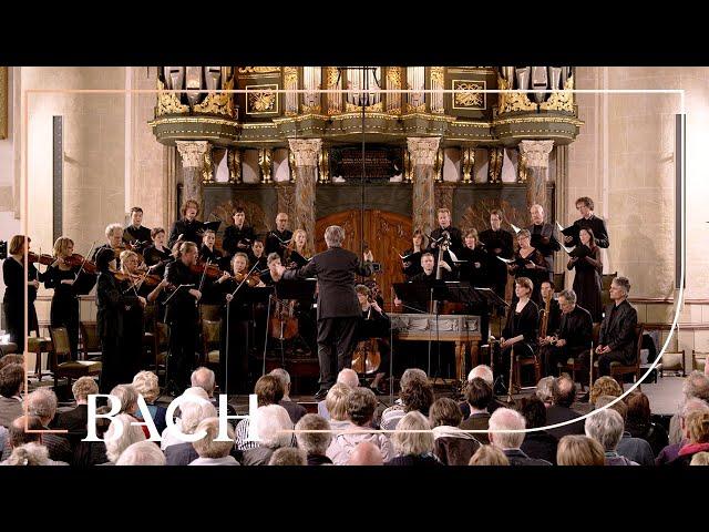 Bach - Cantata Wir müssen durch viel Trübsal... BWV 146 - Van Veldhoven | Netherlands Bach Society