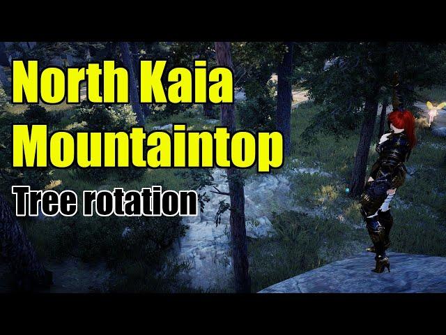 Lumbering - North Kaia Mountaintop rotation | Black desert online