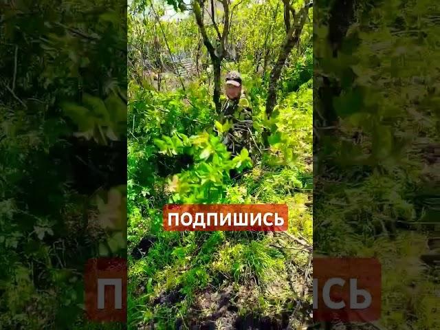 #уборка#заповедник#природа#garden #деньвдеревне #топ #садоводничество #лето