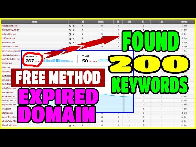 Free Method - Expired Domains with Keywords (Complete Guide)