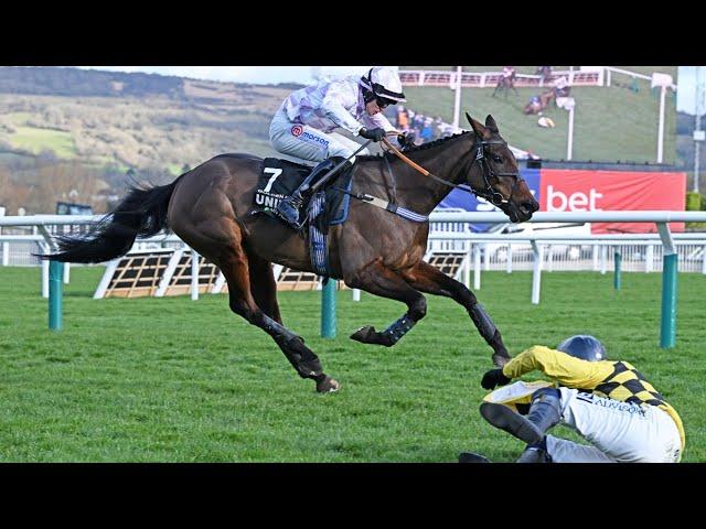 GOLDEN ACE lands dramatic Champion Hurdle as CONSTITUTION HILL & STATE MAN fall