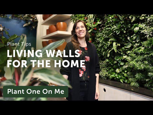 LIVING WALLS & VERTICAL GARDEN Systems — Ep. 366