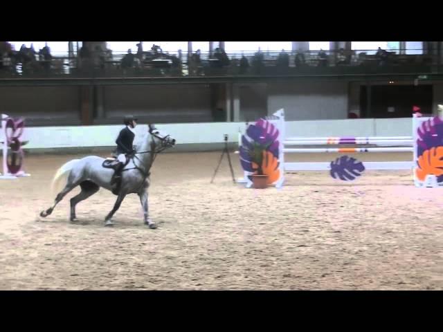 For Sale: Zanette. Casco x L Ronald 2004