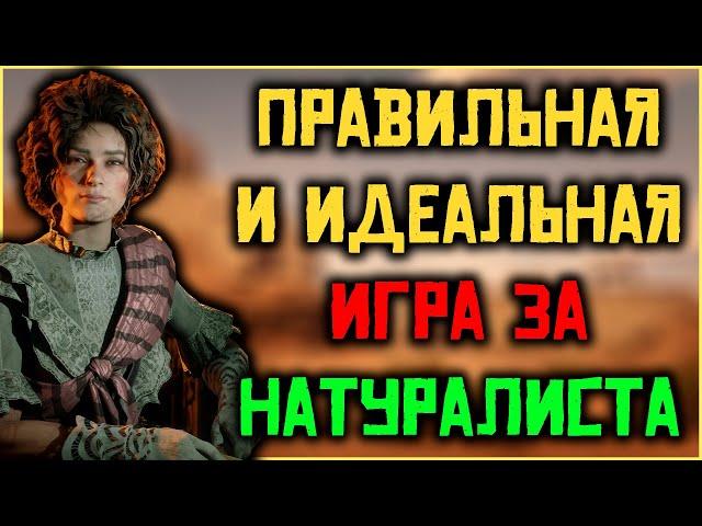 Взгляд по новому! Правильная прокачка роли "Натуралист" в Red Dead Online!