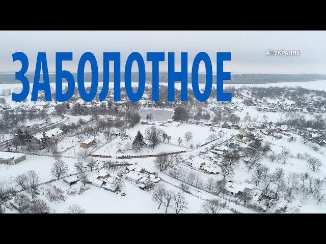 Ослиная мечта | #ВУКРАИНЕ