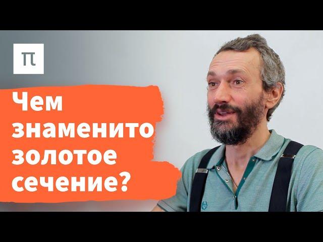 Золотое сечение — Алексей Савватеев / ПостНаука