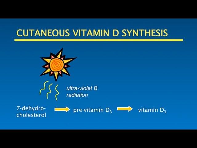 Vitamin D, Sunshine, Optimal Health: Putting it all Together