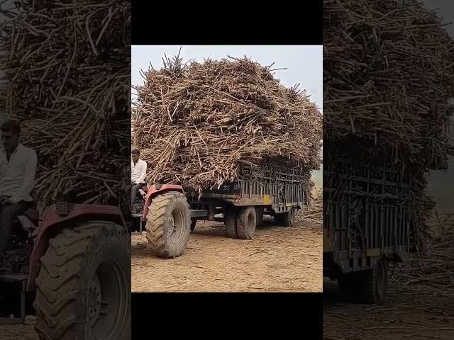 jai shri ram song  Mhindra tractor trolley pulling new short video#youtubeshorts