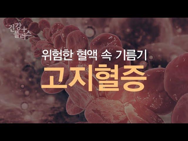 위험한 혈액 속 기름기, 고지혈증 [건강플러스]