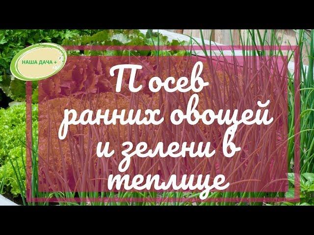 Посев ранней  зелени и овощей в поликарбонатной теплице.  Долгих Анна