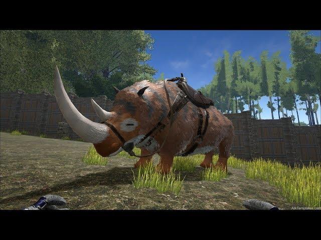 Ark Is Back!!!!!!!!!!!!!!!! | Ark Survival Evolved PVP Ep 1