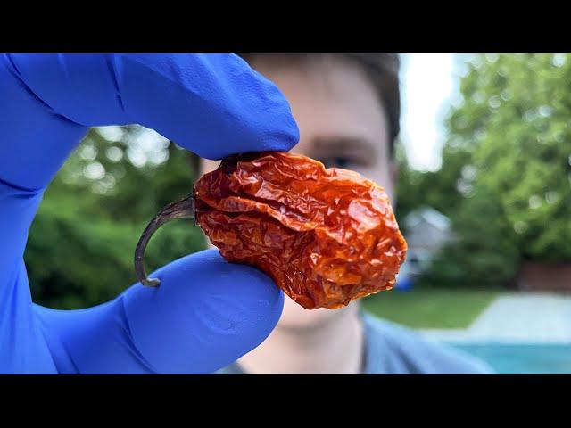 Eating a Ghost Pepper for 1,000,000 subscribers