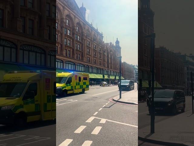 Harrods, London ️ #serene #london #harrods #shopping #richlifestyle