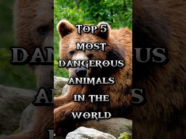 Top 5 most dangerous animals in the world #shorts #trending #viral