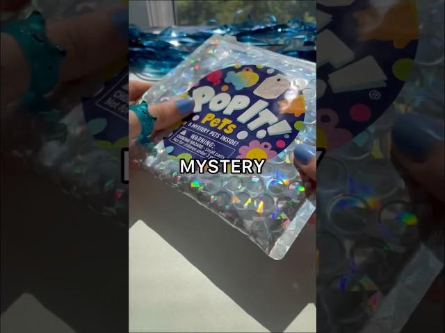 Testing VIRAL AMAZON MYSTERY POP IT PET FIDGETS!  *sensory*