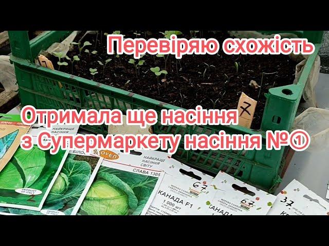 Яка схожість насіння з інтернет магазину Супермаркет насіння №①? Отримала ще одну бандероль!