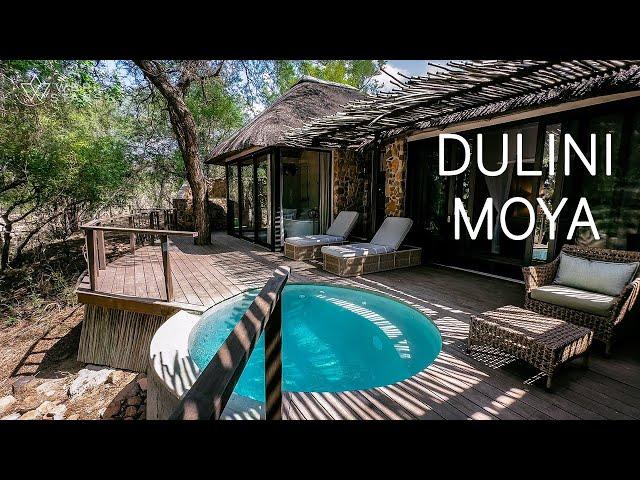 Dulini Moya: Ultra-Luxury SAFARI LODGE Near Kruger Park | AMAZING Game Drive Footage!